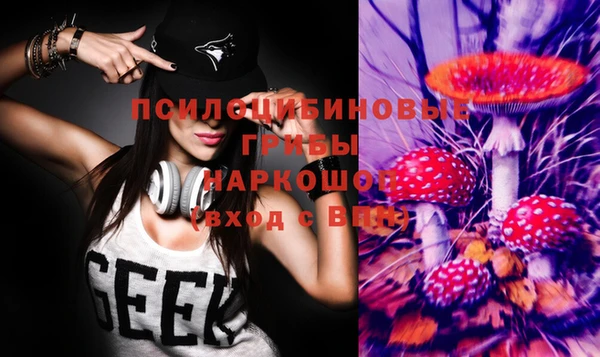 дурь Алексин